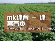 种植基地五(图1)