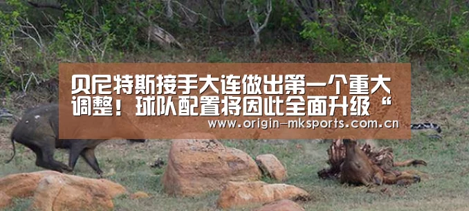 mk体育在线