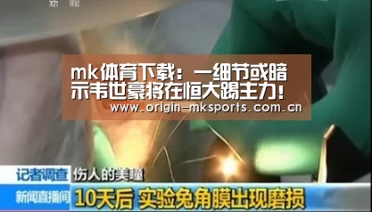 mk体育下载